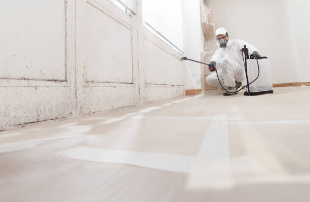 24/7 Emergency Mold Cleanup experts in Ashland, OR