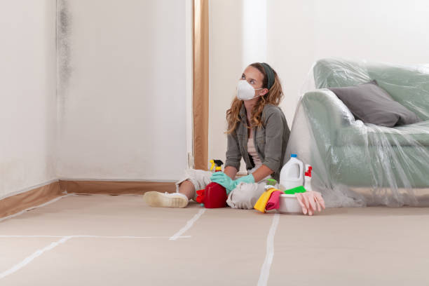 Reliable Mold Cleanup contractor in Ashland, OR by Cheap Mold Removal